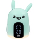 Bigben RKIDSRABBIT