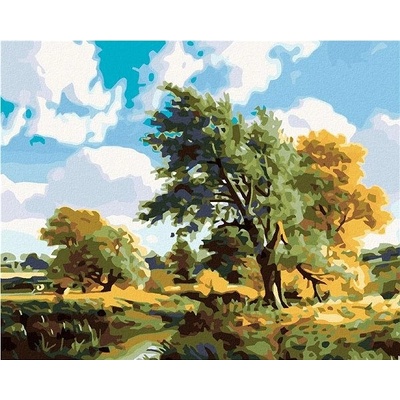 zuty Malování podle čísel Stromy u řeky 100 x 80 cm vypnuté plátno na rám