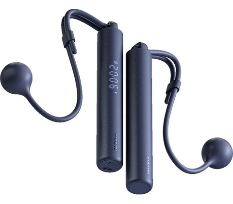 Xiaomi Smart