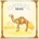 Camel - MIRAGE LP