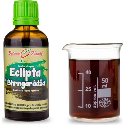 Bylinné kapky Eclipta Eklipta Bhrngarádža bylinné kvapky tinktúra 50 ml