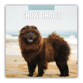 Browntrout Verlags GmbH Chow Chows - Chow Chow 2026 - 16-Monatskalender