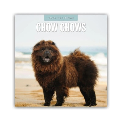 Browntrout Verlags GmbH Chow Chows - Chow Chow 2026 - 16-Monatskalender | Red Robin