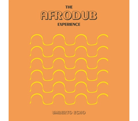 THE AFRODUB EXPERIENCE CD