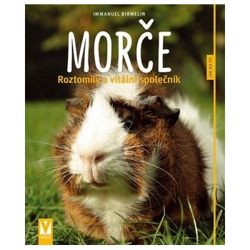 Morče