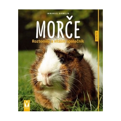 Morče