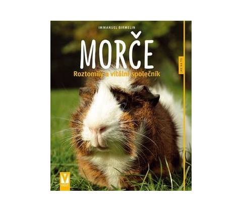 Morče