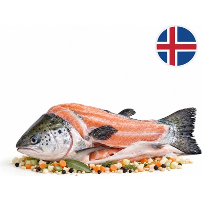 Boxxi Islandský losos skelet na polévku mražený 700 g – Hledejceny.cz