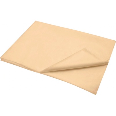 2P SERVIS Prostěradlo klasik 100% Bavlna meruňka 140x240