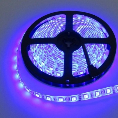 ECOLIGHT EC79349