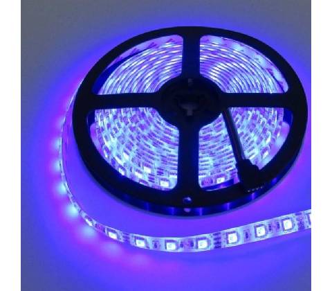 ECOLIGHT EC79349