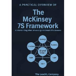 A Practical Overview of The McKinsey 7S Framework | The LeadXL Company (2025)