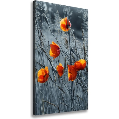 Vertikálny foto obraz na plátne do obývačky Polné maky 50x100 cm