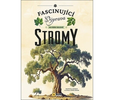 Stromy