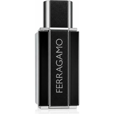 Ferragamo Sublime Leather Intense parfumovaná voda pánska 50 ml