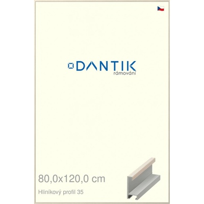 DANTIK rám na obraz 80 x 120 Dýha slonová kost