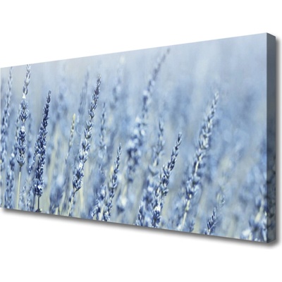 Obraz Canvas Kvety klasy lúka príroda 100x50 cm