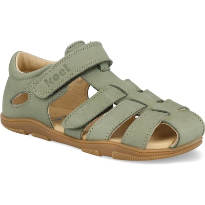 Koel Ola olive
