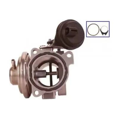 QWP AGR ventil QWP WEG105