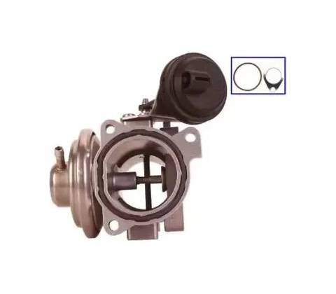 QWP AGR ventil QWP WEG105