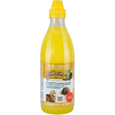 IV San Bernard ZENZERO 1000 ml