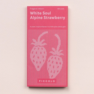 Piccolo Seeds Jahoda "White Soul" 1 bal.