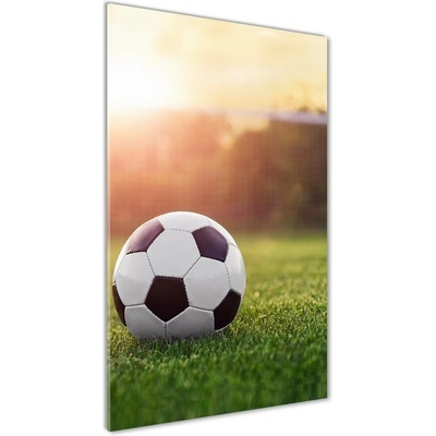 Vertikálny foto obraz sklenený Futbal 50x100 cm