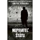 Nepriateľ štátu