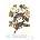 Принт Band-tailed Pigeon, Джон Джеймс Одюбон - репродукция (Print1044)