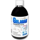 Gelacan Chondro Forte Biosol 500 ml