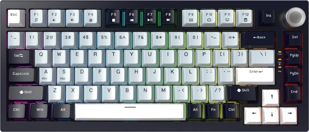 JEDEL KL81 BW