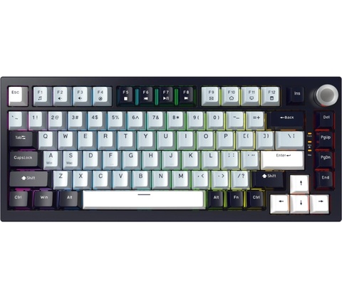 JEDEL KL81 BW