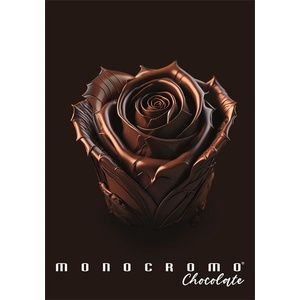 Pigna Chocolate A4 тетрадка с телбод 38 листа P1111-2059 (P1111-2059)