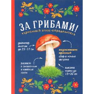 За грибами. Карманный атлас-определитель | Т. Н. Ильина (ISBN: 9785699911462)