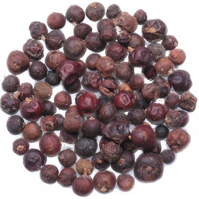 Nefertitis Jalovec červenoplodý plod NF53881 20 g