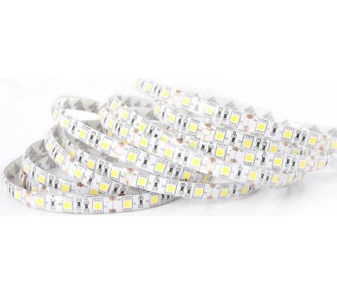 ECOLIGHT EC79365