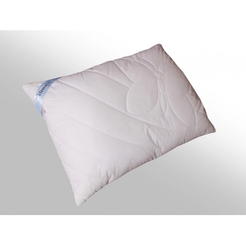 2G Lipov vankúš Cirrus 900g 70x90