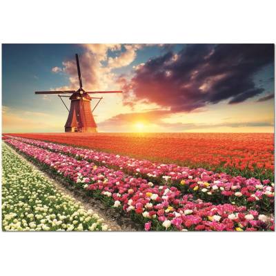 Educa - Puzzle Tulips landscape - 1 500 piese