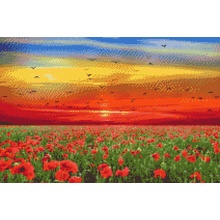 Vymalujsisam.cz Diamantové malování Makové pole při západu slunce 40 x 60 cm pouze srolované plátno diamanty kulaté