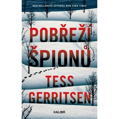 Pobřeží špionů - Tess Gerritsenová