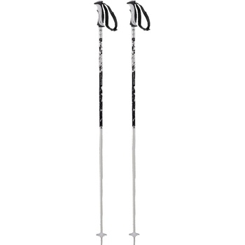 Salomon Arctic W 2017/18