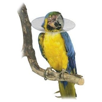 Bird Collar Límec ochranný plastový pro ptáky 20cm