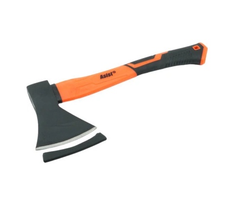 Asist AR2S6002