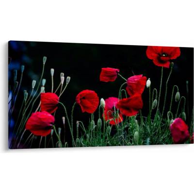 Obraz - Tanec vlčích máků, jednodílný 120x70 cm