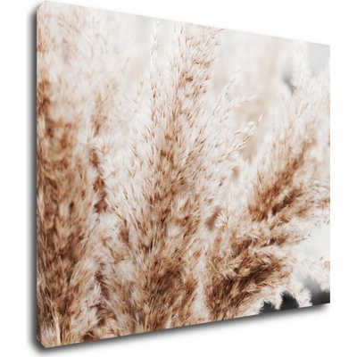 Impresi Obraz Suchá tráva skandinávský styl - 90 x 70 cm