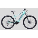 CTM Ruby Pro 2022
