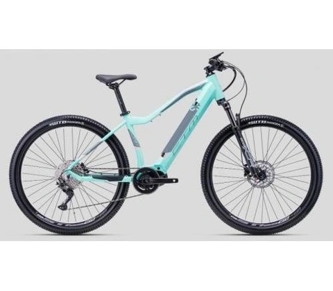 CTM Ruby Pro 2022