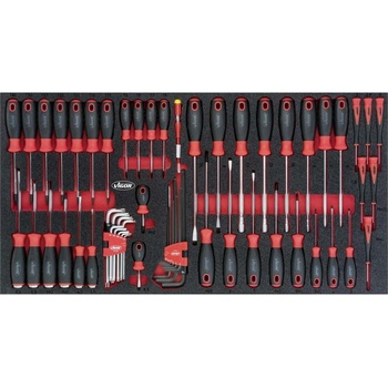 Vigor V5170