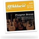 D'addario EJ19