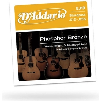 D'addario EJ19